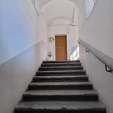 Casa Pelu *
